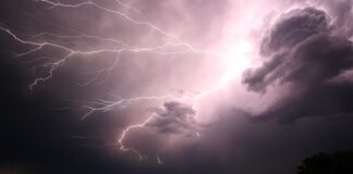 Czy elektryczne odświeżacze powietrza są szkodliwe?